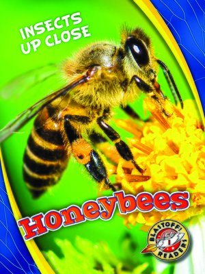 cover image of Honeybees